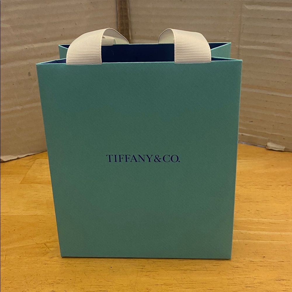 Tiffany & Co. Small iconic jewelry shopping bag w white handles New